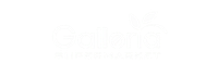 Galleria Supermarket